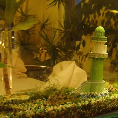 Belvedere Hotel Rostock